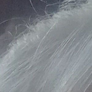 Meet your Posher, Deanna